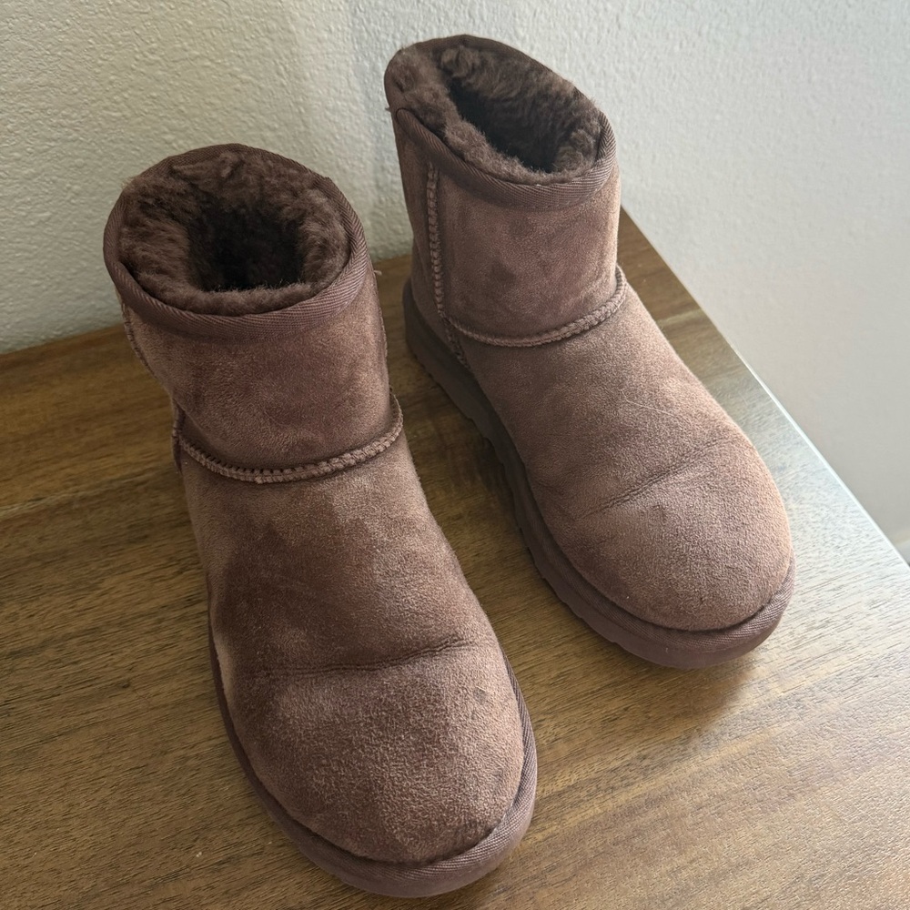 UGG Women's Brown Winter Boots